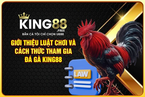 Giới thiệu luật chơi và cách thức tham gia đá gà King88 Giới thiệu luật chơi và cách thức tham gia đá gà King88