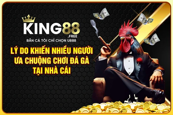 Lý do khiến nhiều người ưa chuộng chơi đá gà tại nhà cái Lý do khiến nhiều người ưa chuộng chơi đá gà tại nhà cái